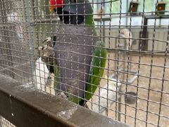 -南宫五洲植物乐园