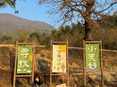 -塔川景区