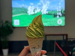 -陆羽泡的茶(集散中心店)