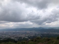 -长虫山生态公园风景林