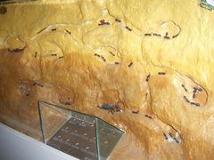 100_3883-上海昆虫博物馆