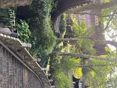 -韬光茶庵