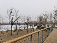 -东郊湿地公园