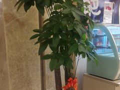 -粤珍轩·家宴·广式茶点(新城广场店)