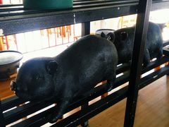 -么肆烤肉(蓝山名邸店)