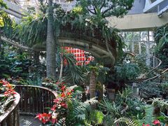 -正佳雨林生态植物园