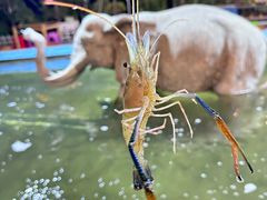 -光头佬钓虾场·烧烤·聚餐·亲子(金沙洲店)