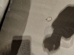 -保定会馆(秀兰店)