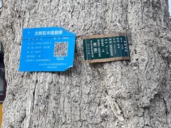 -圆通寺