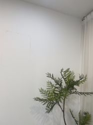 -张小野·专业半永久纹眉