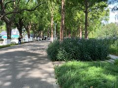 -食膳公园包子铺(烈士公园店)