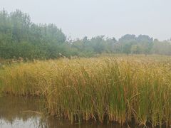 -张家湾公园