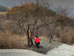 -鬼笑石后山停车场