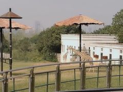 -合肥野生动物园