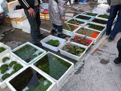 -华声天桥民俗文化园