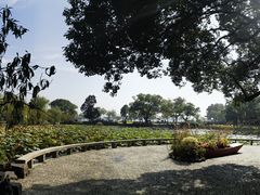 -无锡蠡湖国家湿地公园-蠡园