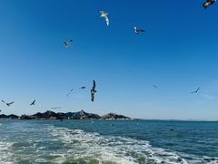 -海驴岛(荣成市)