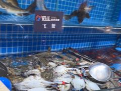 -乔哥铭洋海鲜自助(皇城恒隆广场店)