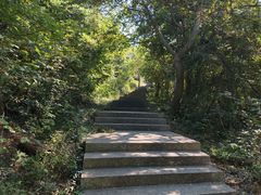-巢湖姥山岛