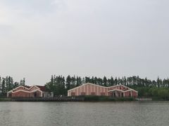 -上海长兴岛郊野公园