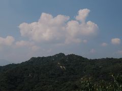 -大岭沟猕猴桃谷风景区