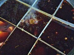 -豪客来牛排(重庆三峡广场步行街1704店)