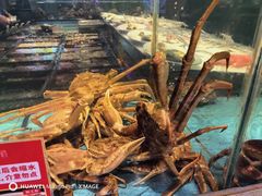-王庄阿咪海鲜大排档(象园店)