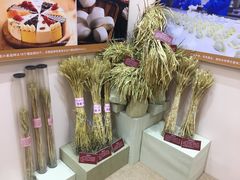 -中国农业博物馆