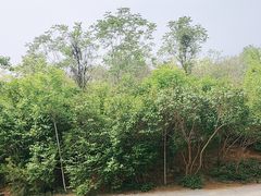 -石家庄市动物园