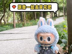 -大宁公园