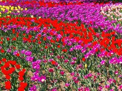 -长春公园(普阳街道)