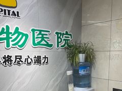 -半岛宠物医院24小时(白果林店)