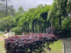 -敬亭山风景名胜区