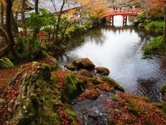 -醍醐寺