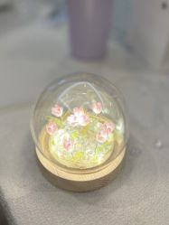 -大美母婴月子中心(吴中店)