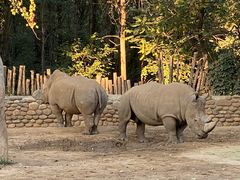 -北京野生动物园