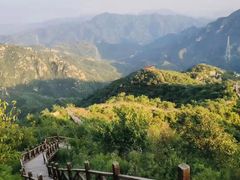 -大岭沟猕猴桃谷风景区