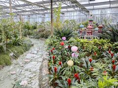 -南宫五洲植物乐园