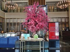 -成都安仁福朋喜来登酒店