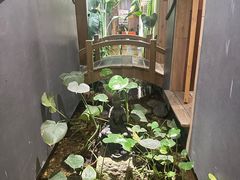 -邈墨茶馆(凤起路店)