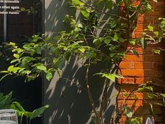 -Ocean's Table 欧舍