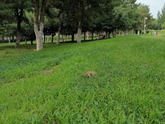 -莫子山公园