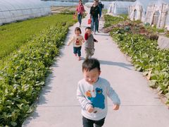 -小鱼草莓采摘园农家乐·小鱼餐厅