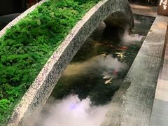 -湊湊火锅·茶憩(石家庄万象城店)