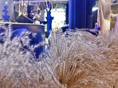 -Wei菋·Le Bistrot