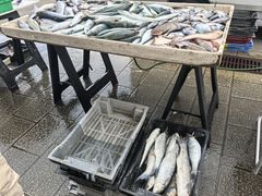 -马赛老港