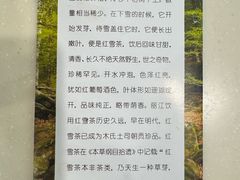 -太婆天府山珍酒楼(亚运村店)