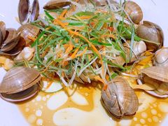 葱油黄蛤-渔傅·蓝海岸霞浦海鲜(正祥店)