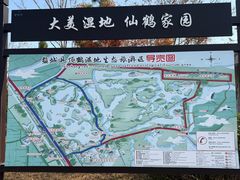 -盐城丹顶鹤湿地生态旅游区