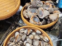 -崂山印象·青岛·海鲜渔家菜
